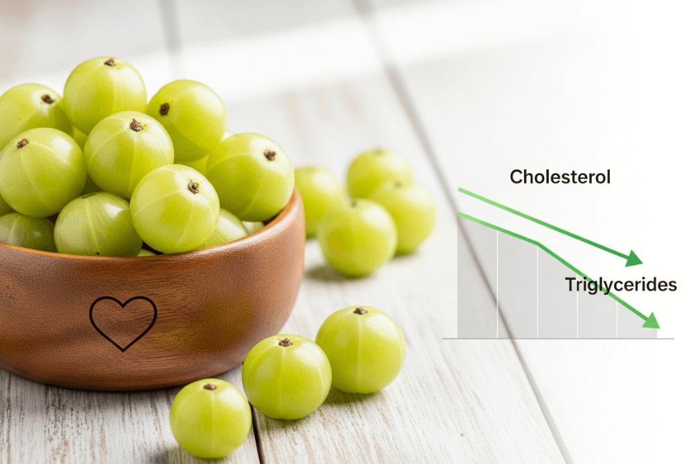gooseberry antioxidants 