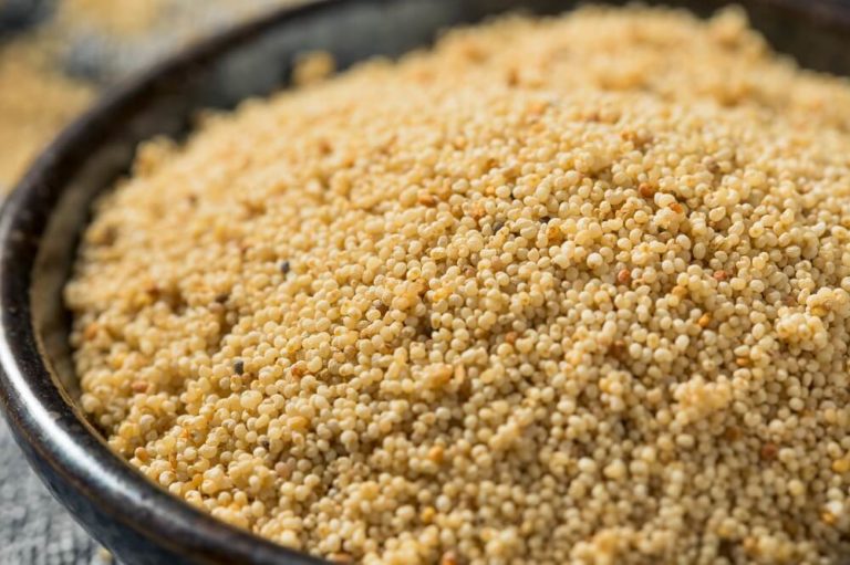 8 Potential Benefits Of Poppy Seeds & Side Effects Holistic Foods