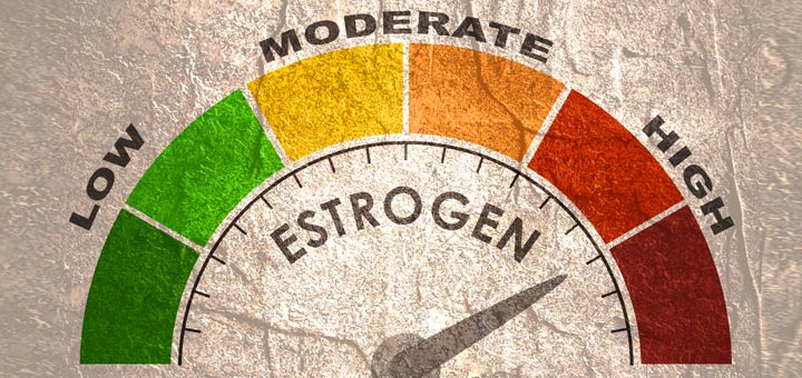 high estrogen symptoms