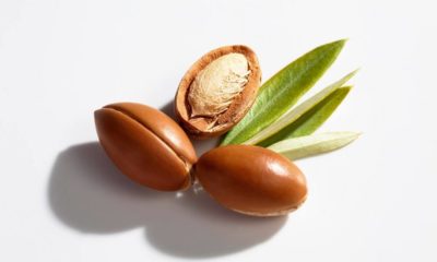 argan nuts and leaves
