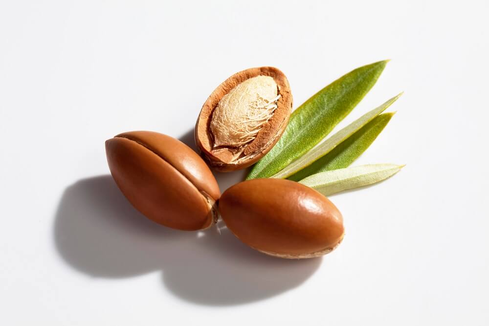 argan nuts and leaves