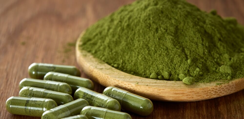 moringa powder uses