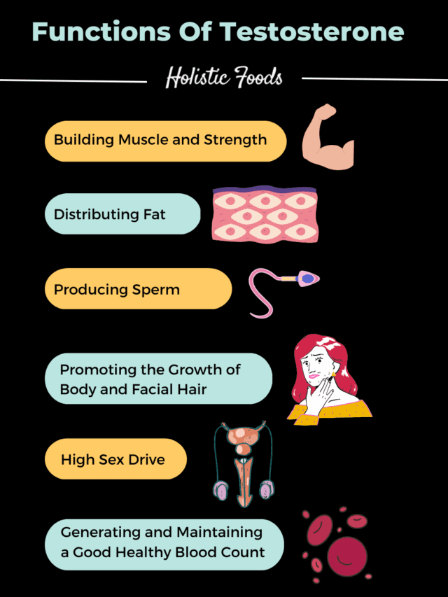 Functions of testosterone
