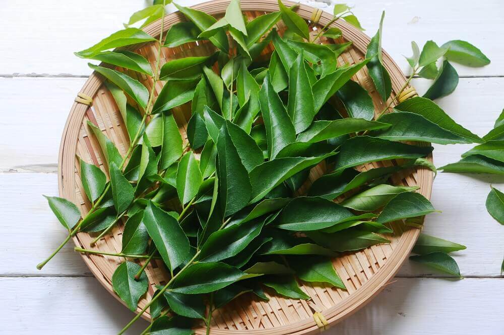 Curry leaves for hair