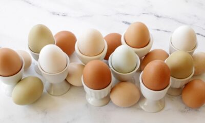 are eggs keto