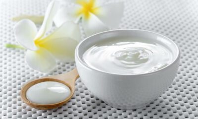 benefits of curd