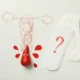 periods question