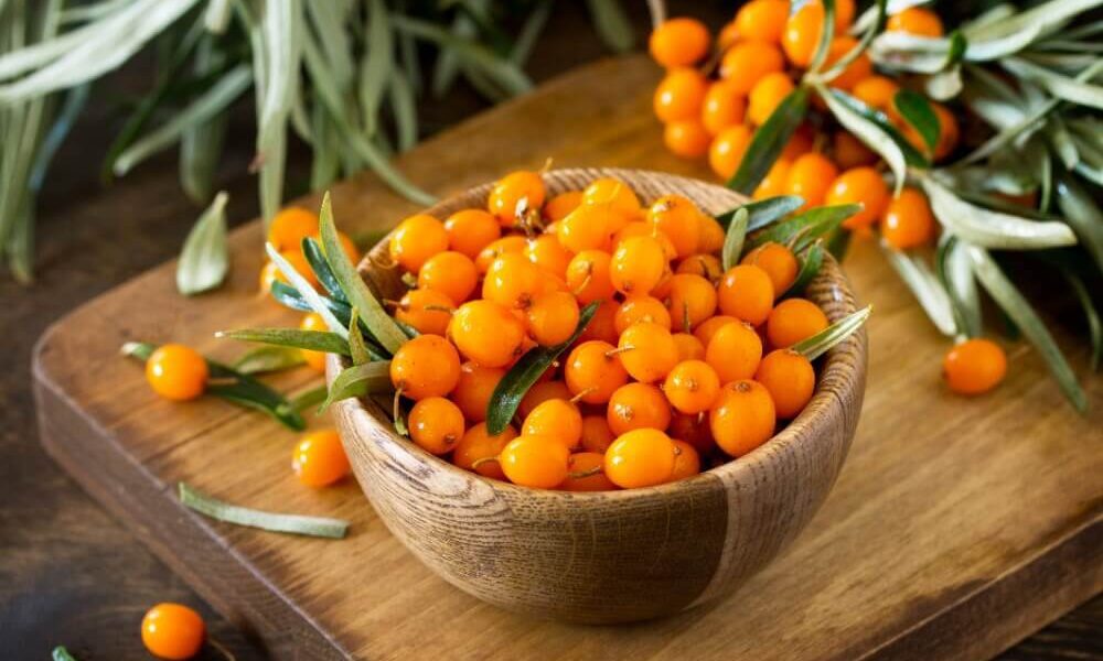 sea buckthorn benefits