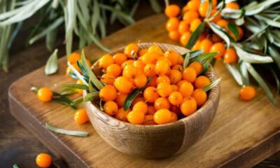 sea buckthorn benefits