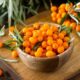 sea buckthorn benefits