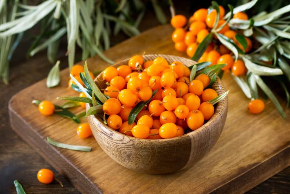 sea buckthorn benefits